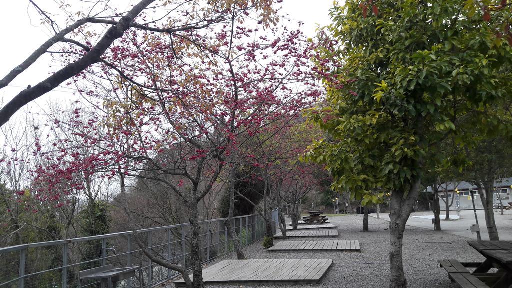 Qing Jing Xiao Taiyang Jingguan Homestay Renai Exteriér fotografie