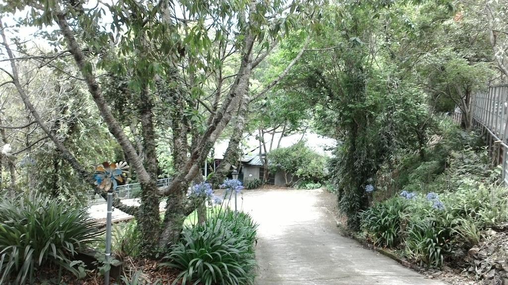 Qing Jing Xiao Taiyang Jingguan Homestay Renai Exteriér fotografie
